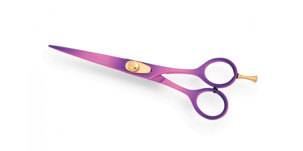 Professional Hair Cutting Scissors